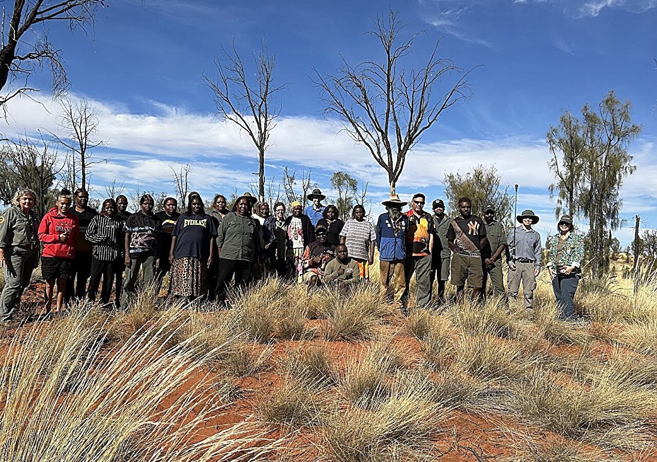 Anangu traditional owners and scientists join forces to understand mass plant dieback at Uluru