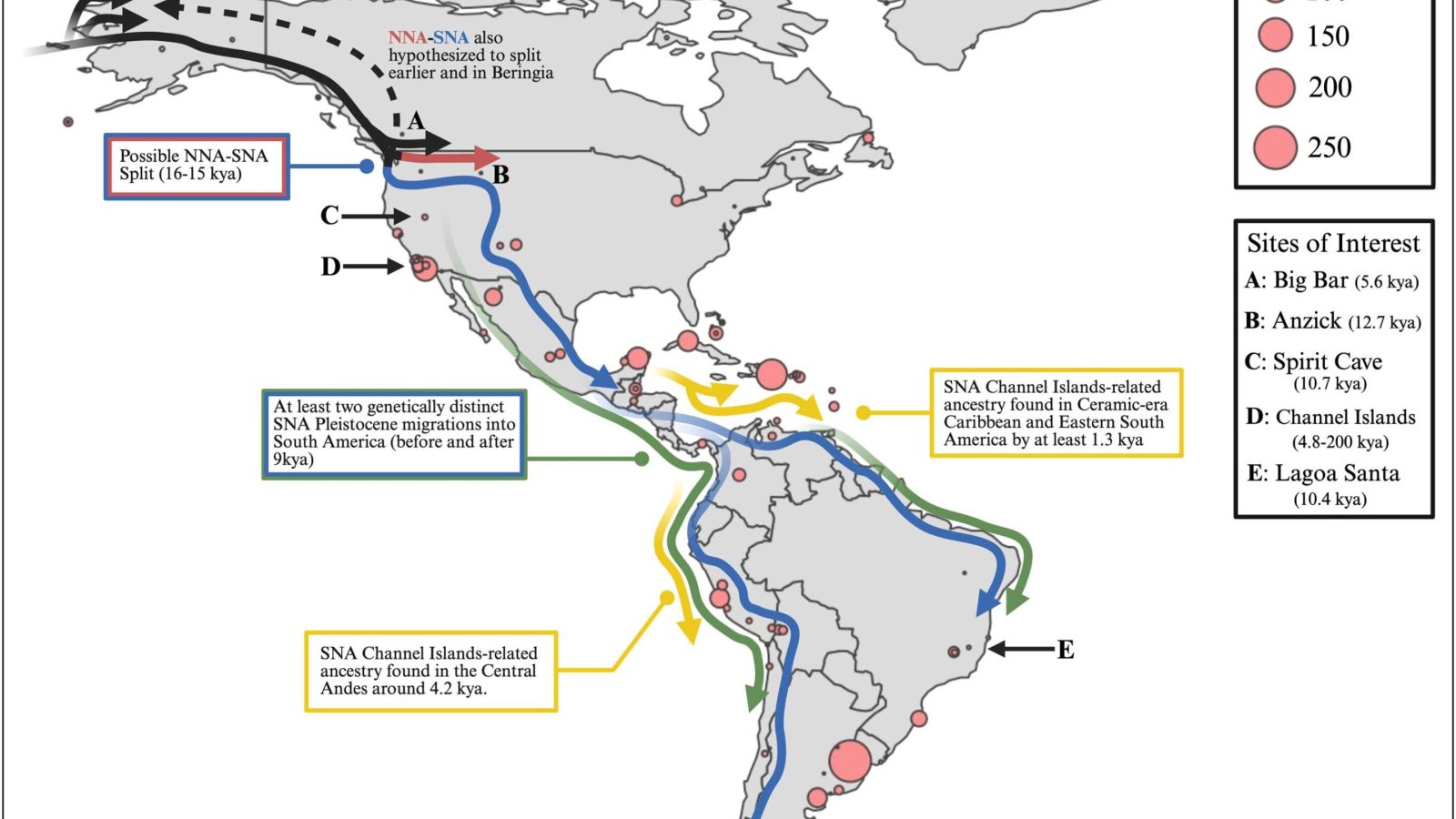 Ancient DNA evidence narrows down when people first reached the Americas