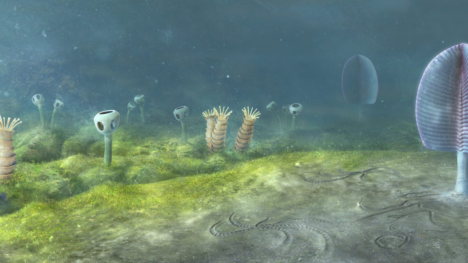 Animals may have evolved vastly earlier than fossil evidence suggests