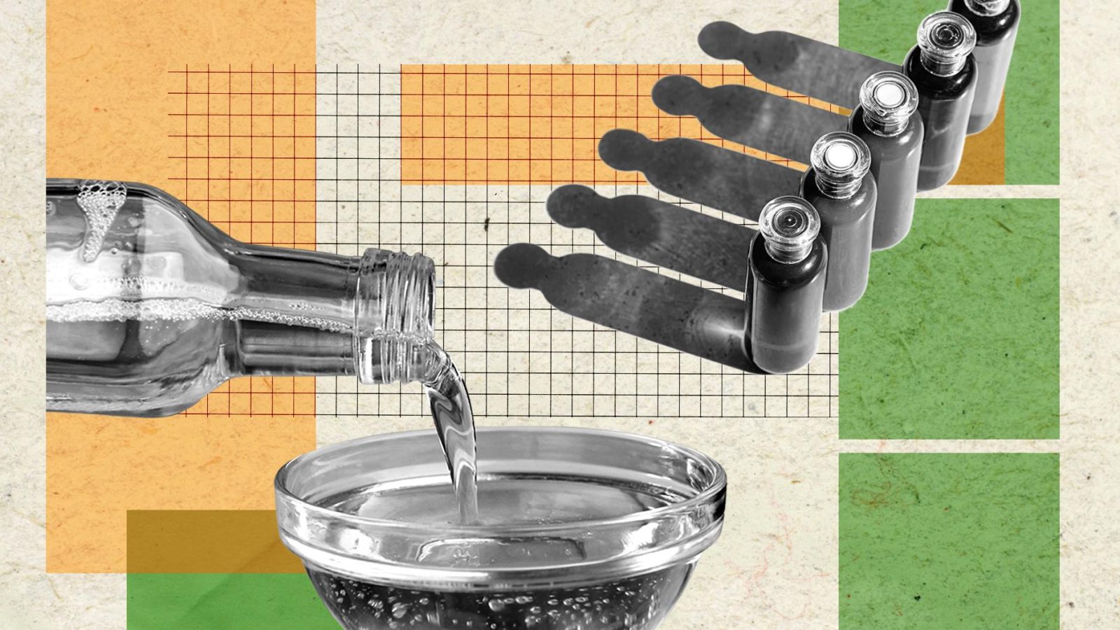 Are seed oils unhealthy? Why are so many influencers speaking out against them? | Gideon Meyerowitz-Katz