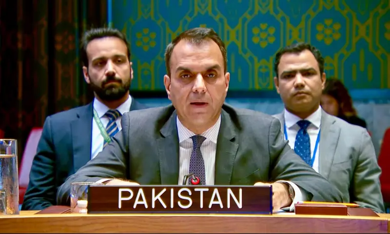 At UNSC, Pakistan condemns Houthi attacks on Saudi Arabia, reaffirms support for kingdom's security