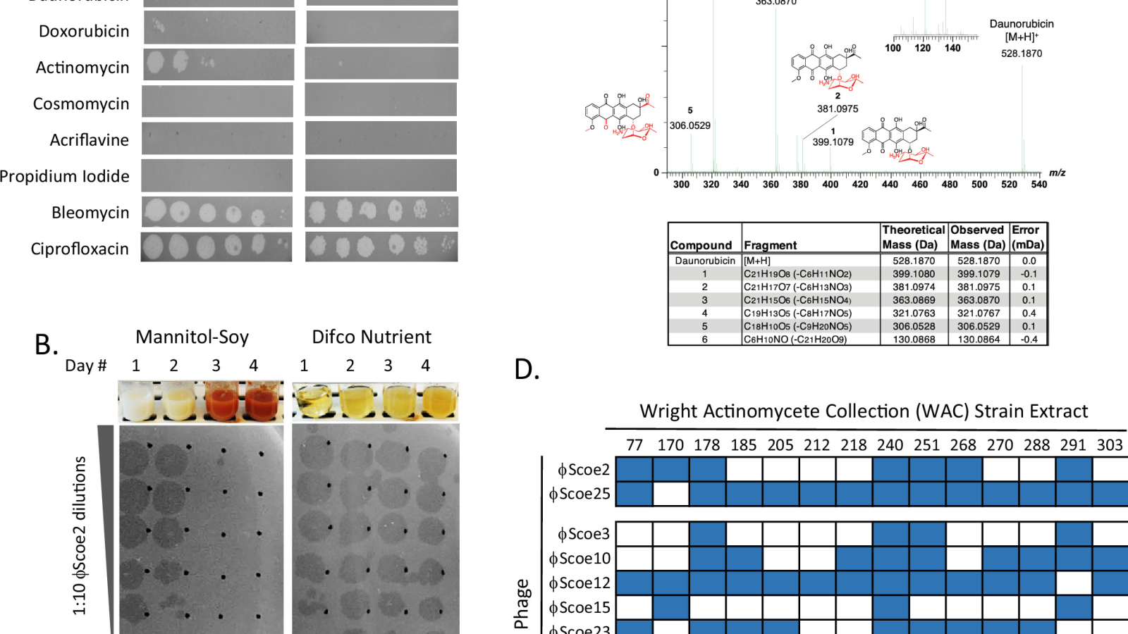 Author Correction: A chemical defence against phage infection