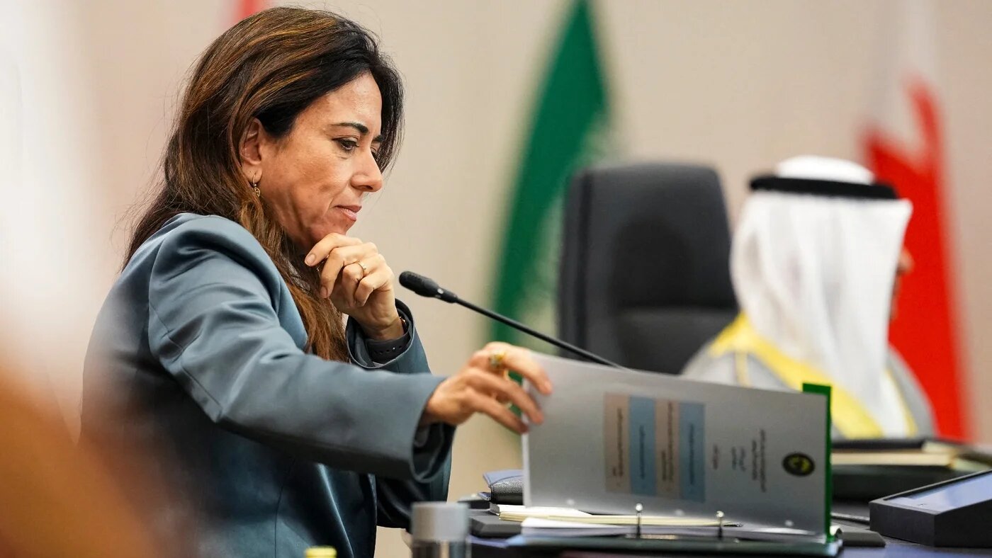 'Autocratic capture': Rights groups say UAE diplomat Lana Nusseibeh too dangerous to lead UN