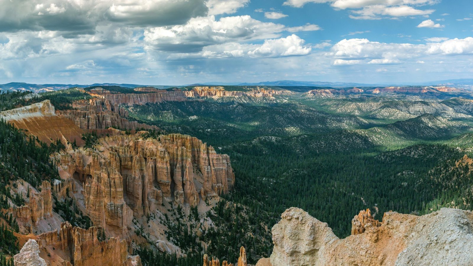 Beyond national parks: Researchers explore a broader future for conservation