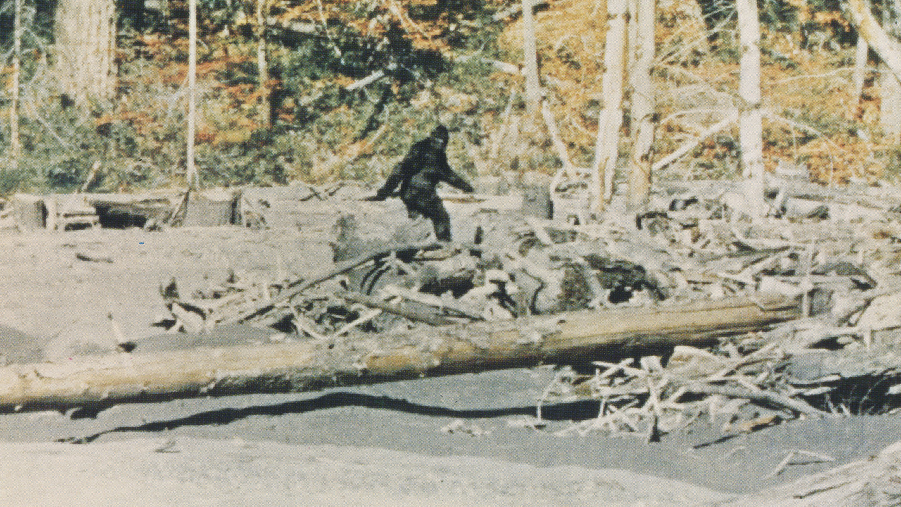 ‘Capturing Bigfoot’ Review: An Astounding Documentary Uncovers the Truth