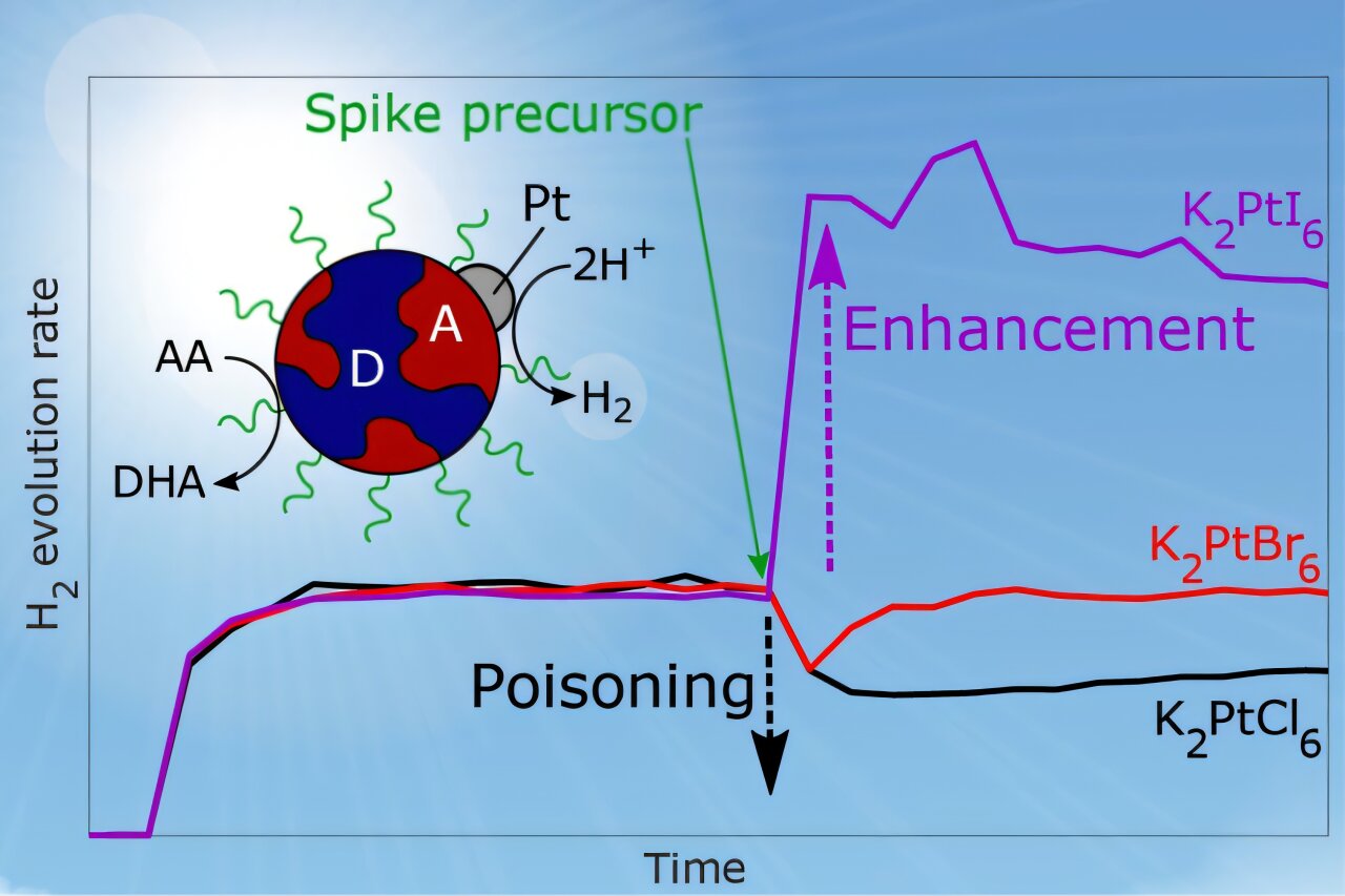 Changes to platinum surface chemistry boost solar hydrogen production in organic photocatalysts