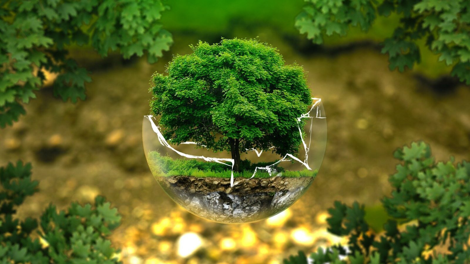 Climate change drives new species combinations, prompting calls to rethink conservation goals