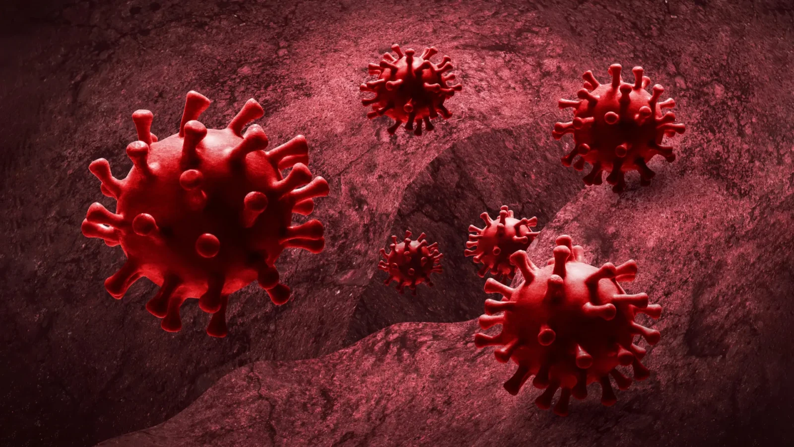 Common drugs may help dangerous viruses spread through the body