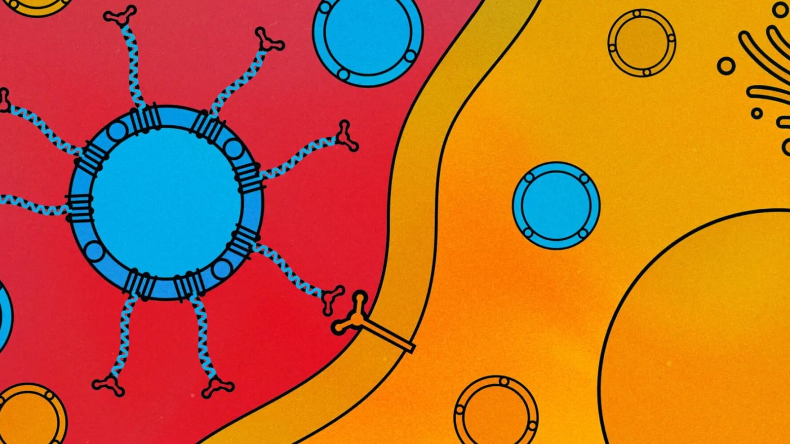 Customizable DNA labels can selectively guide drug carriers to cancer cells
