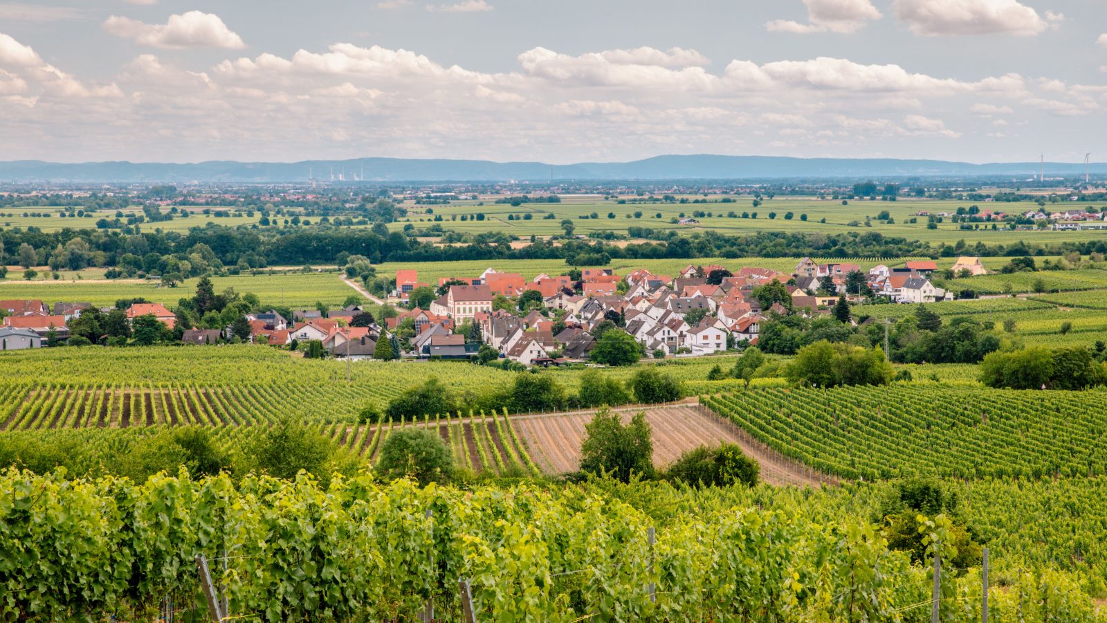 Deidesheim Is the Tiny German Wine Town You’ve Never Heard Of—And It Now Has a Three-Star Michelin Restaurant