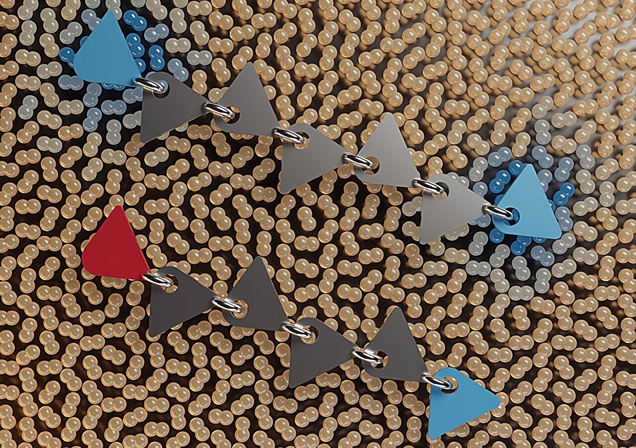 Even or odd numbers: A single molecule makes all the difference in the quantum world