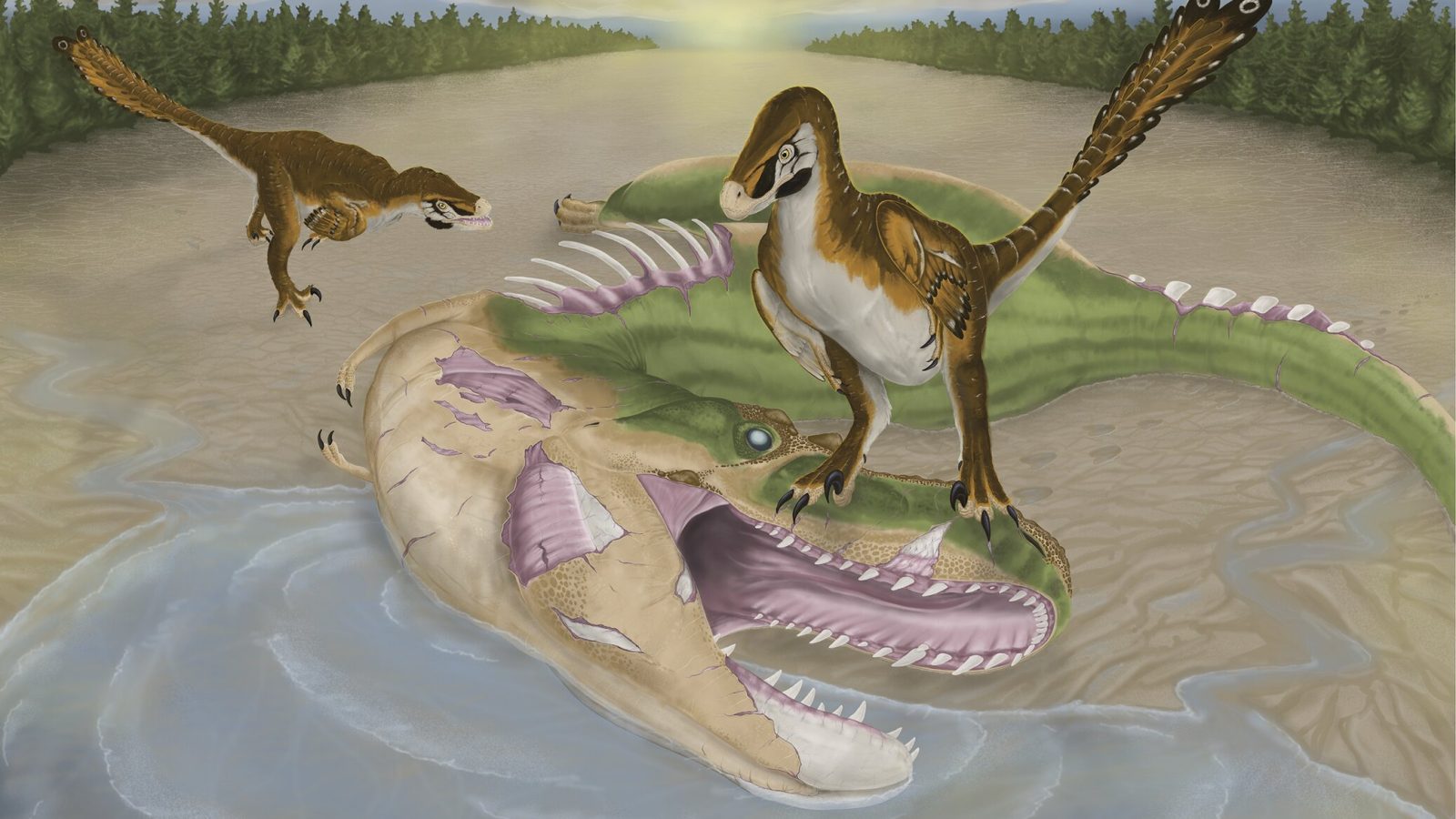 Fossil bite marks suggest first evidence of a small raptor feeding on an apex predator