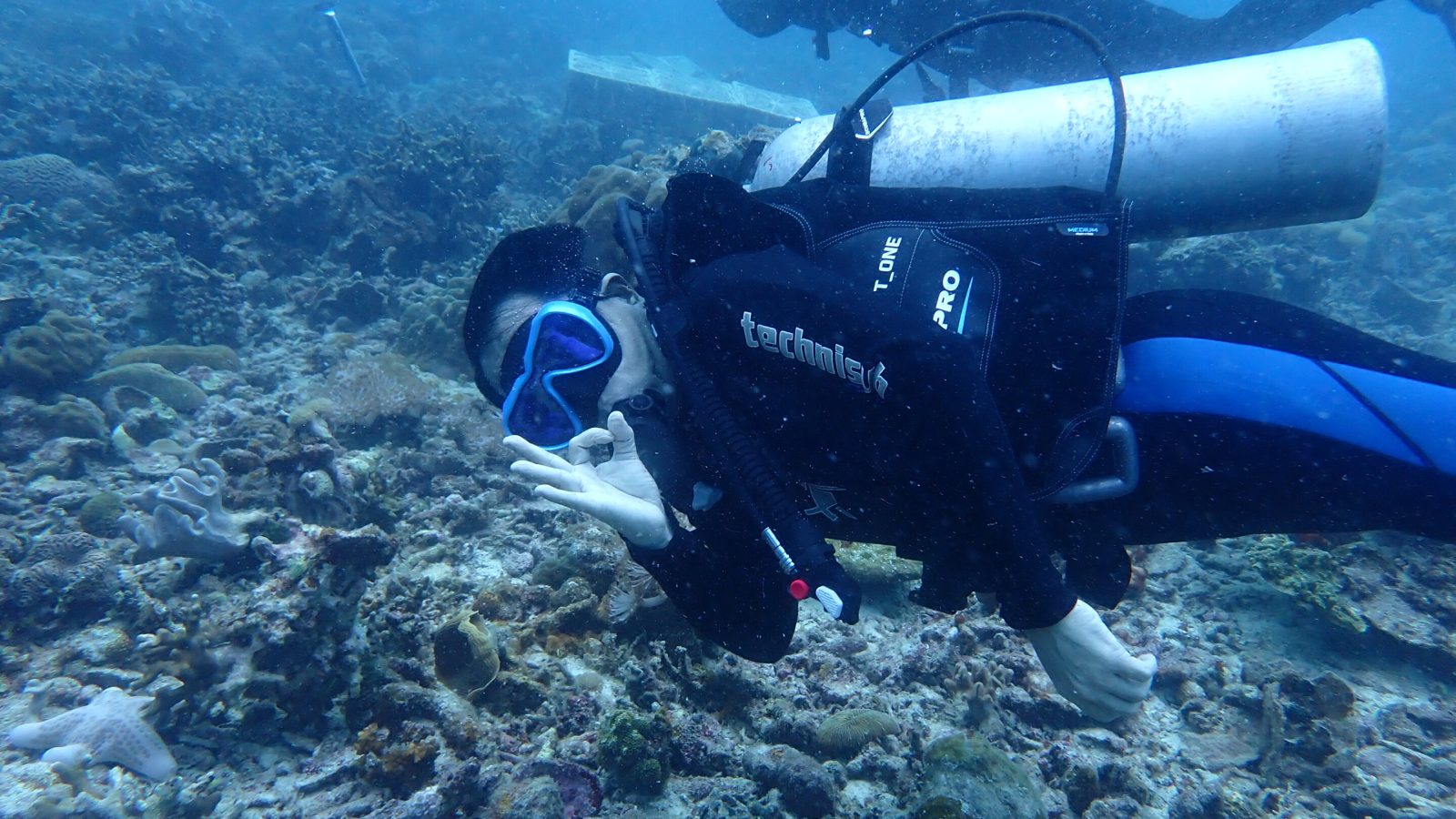 From coral reef conservation to climate resilience: Turning Indonesia's marine wealth into global impact