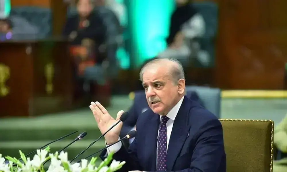 Gemstones pilot project: PM expresses displeasure over slow progress
