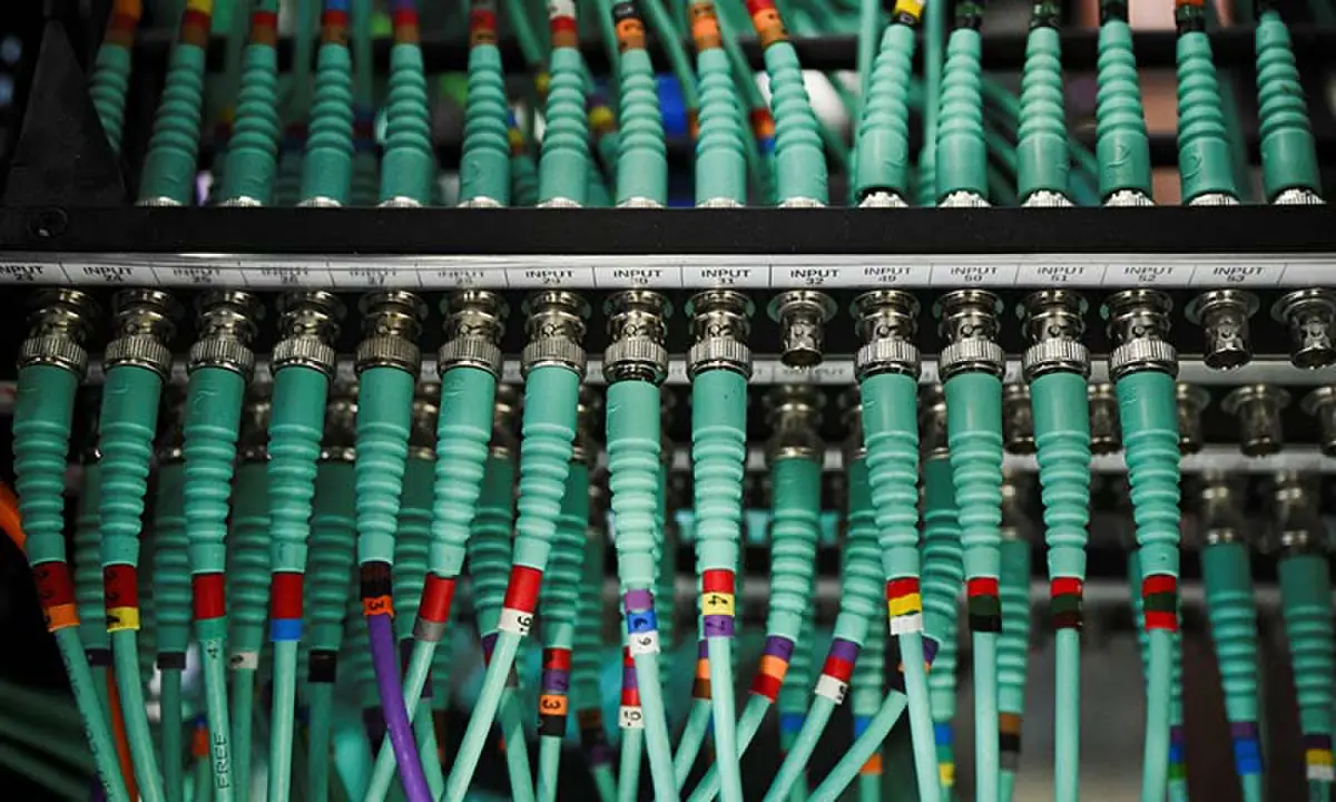 Government websites go dark after AI-discovered flaw sparks security scramble