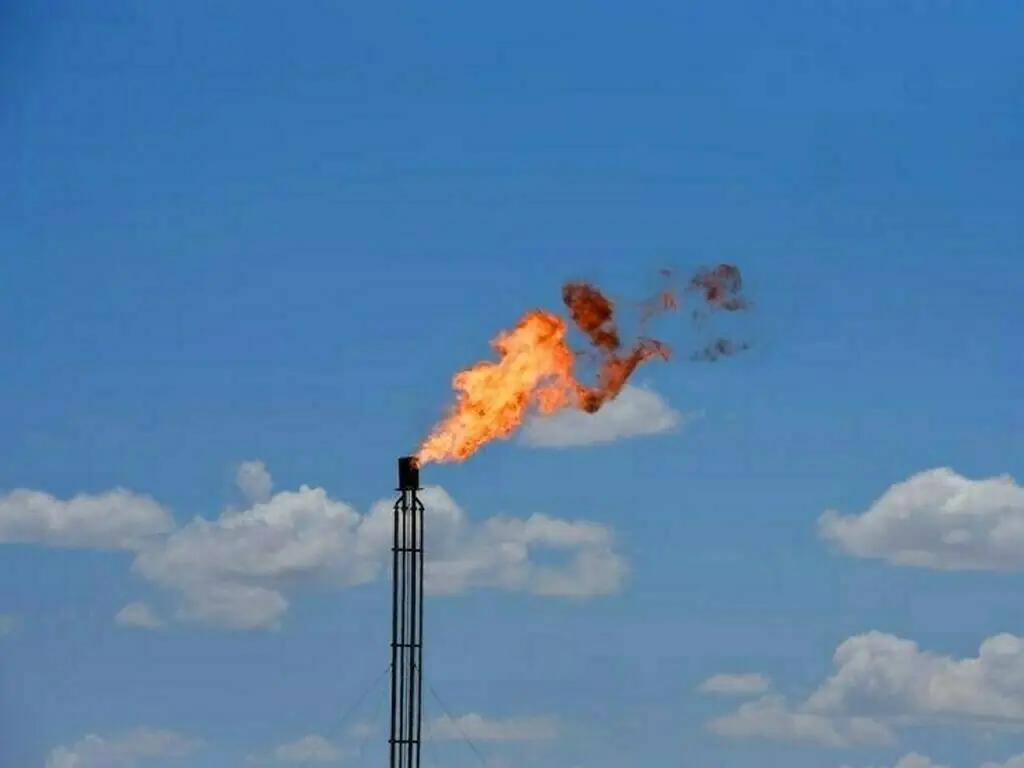 Govt discusses gas load management plan