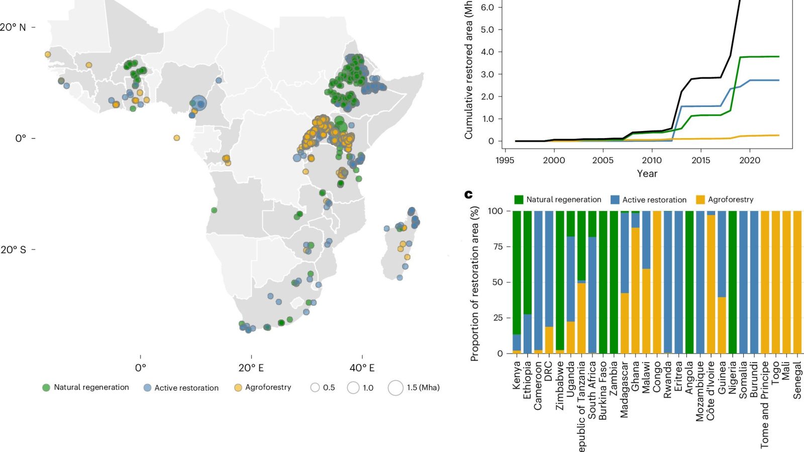 How African restoration projects spill over into surrounding landscapes