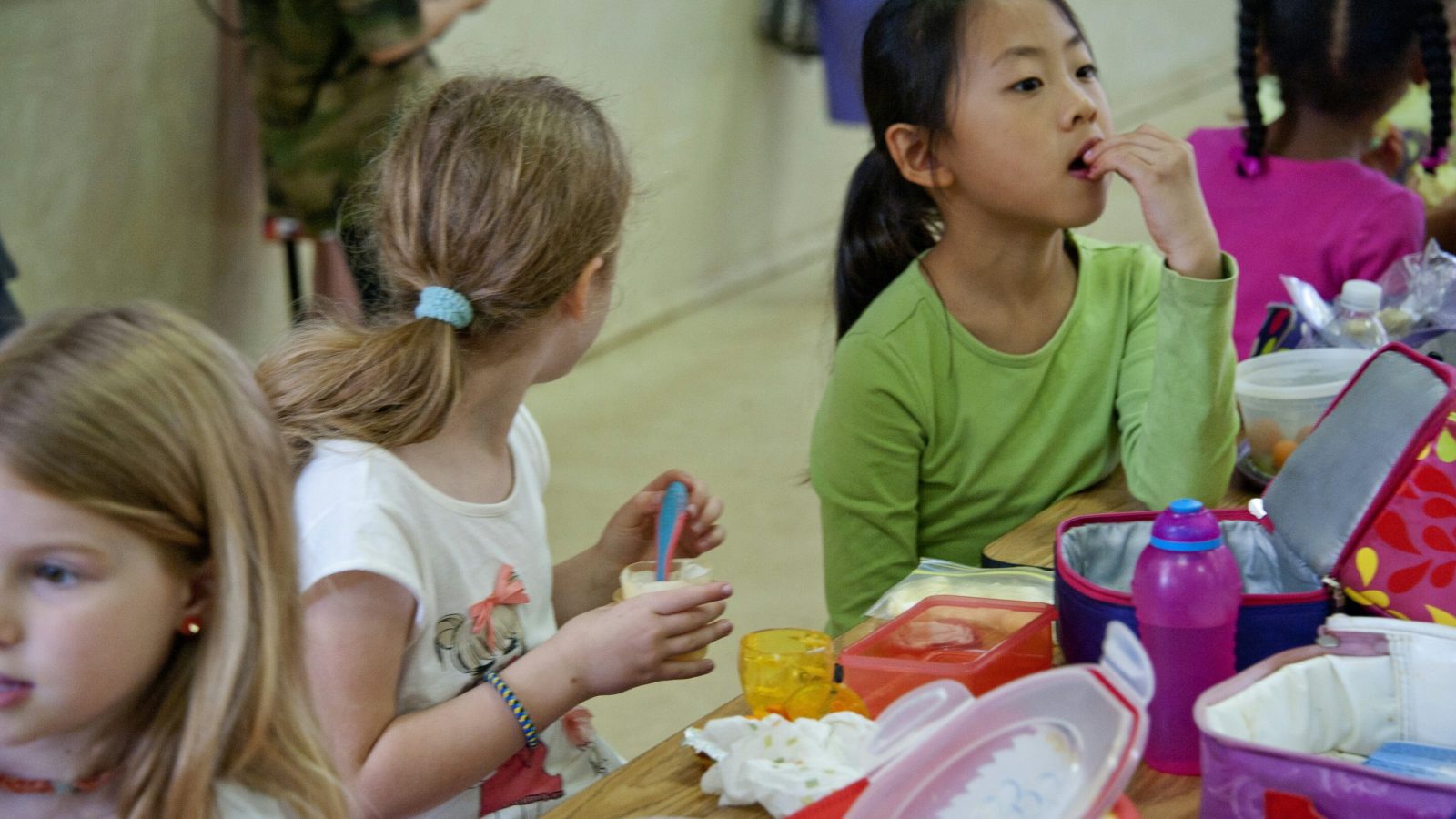 How animal identifiability affects children's food choices