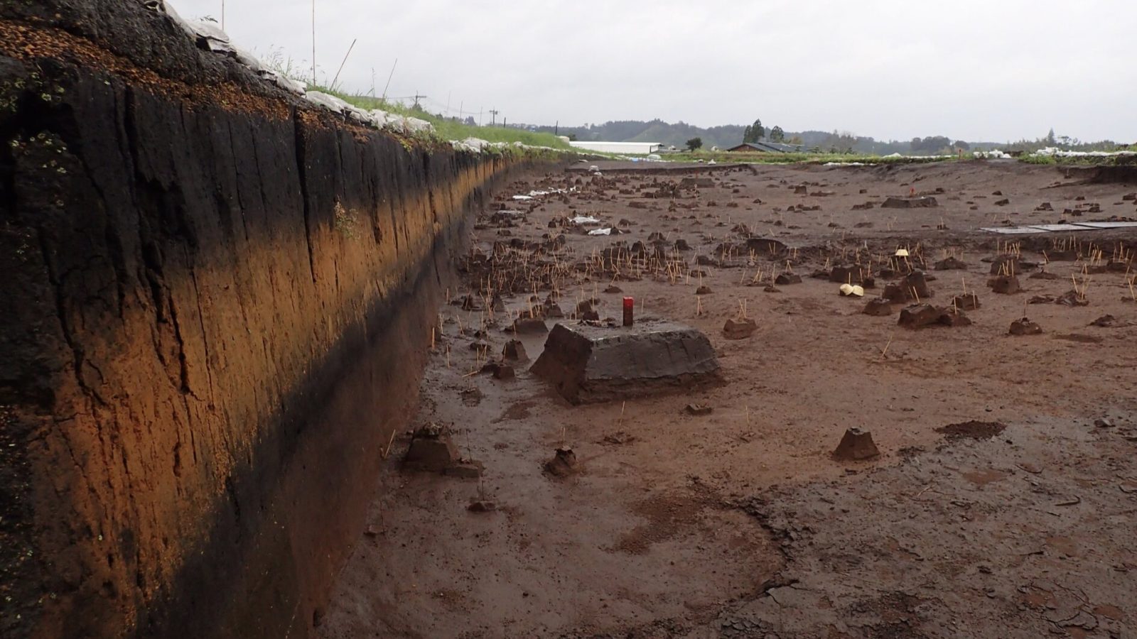 How one of Earth's worst volcanic disasters affected societies in prehistoric Japan