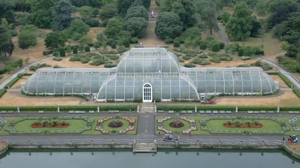 How to move 1,300 plants for Kew's Palm House mega makeover