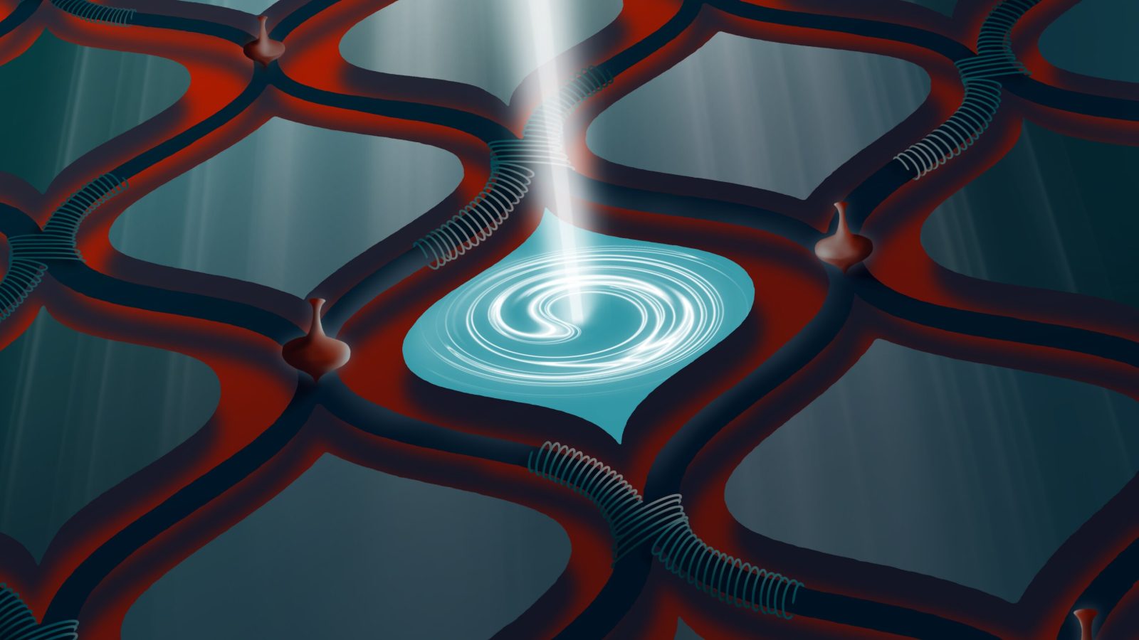 Hybrid quantum computer observes foundational quantum effect in a new setting
