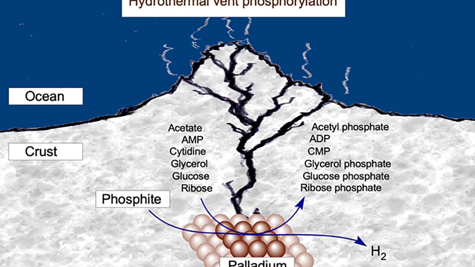 Hydrothermal vents supply a geochemical precursor of ATP that could have powered early life