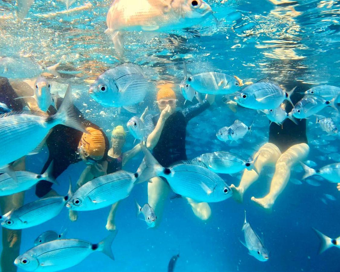 I struggled to come to terms with my mum’s death. Then I swam in the sea and suddenly felt connected to her