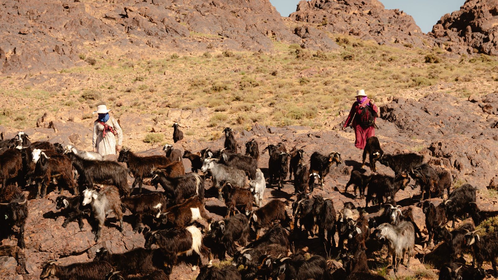 In Morocco's High Atlas Mountains, Joining One of the Oldest Migrations in Africa