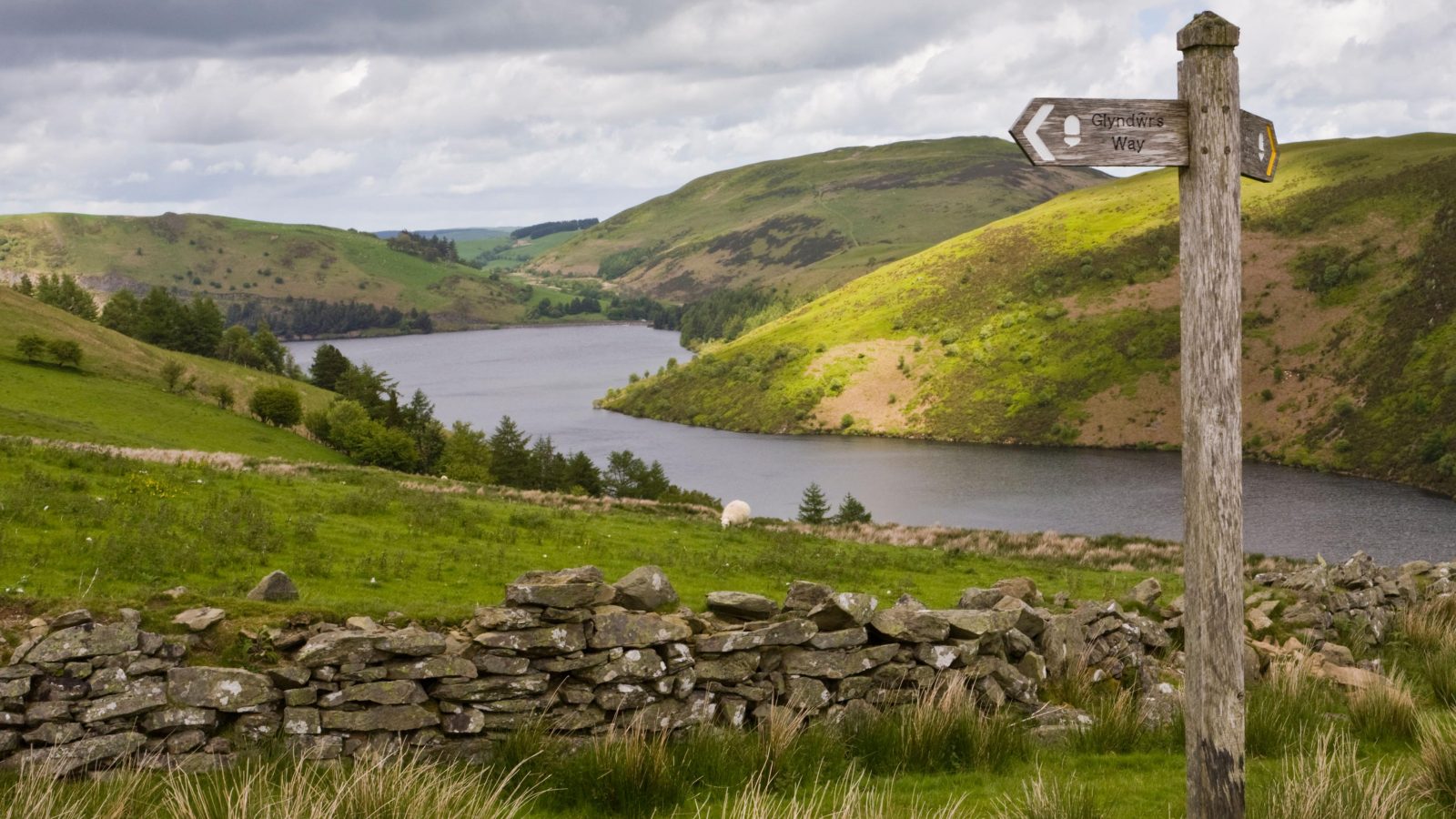 In the footsteps of Wales’s heroic rebel prince: hiking Glyndŵr’s Way