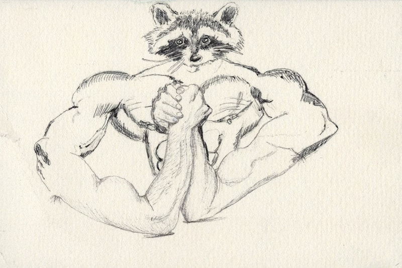 Jim Joe and Lewy Put Up Nearly 200 Hand-Drawn Postcards in NYC Show