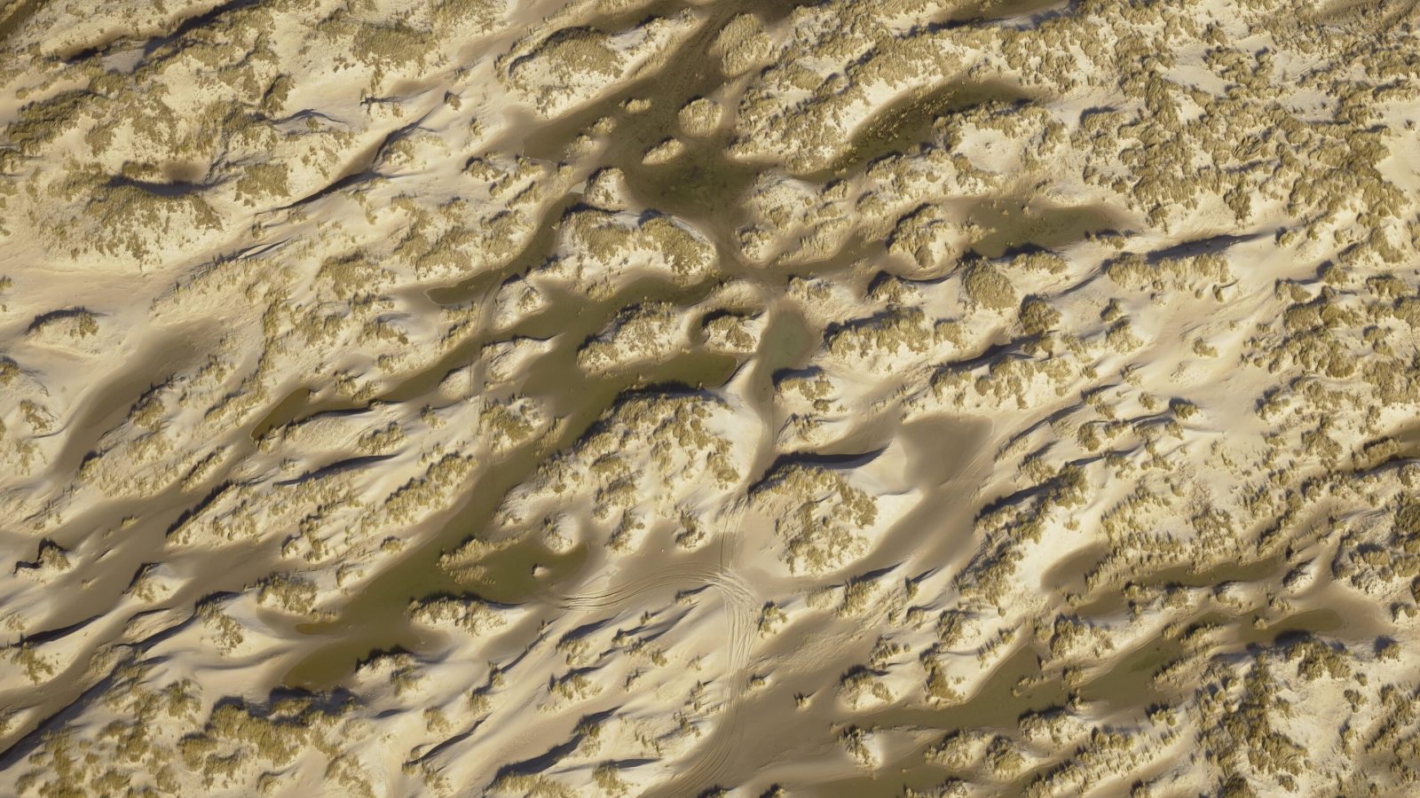Local tipping points in dune landscapes: How does a dune system organize itself?