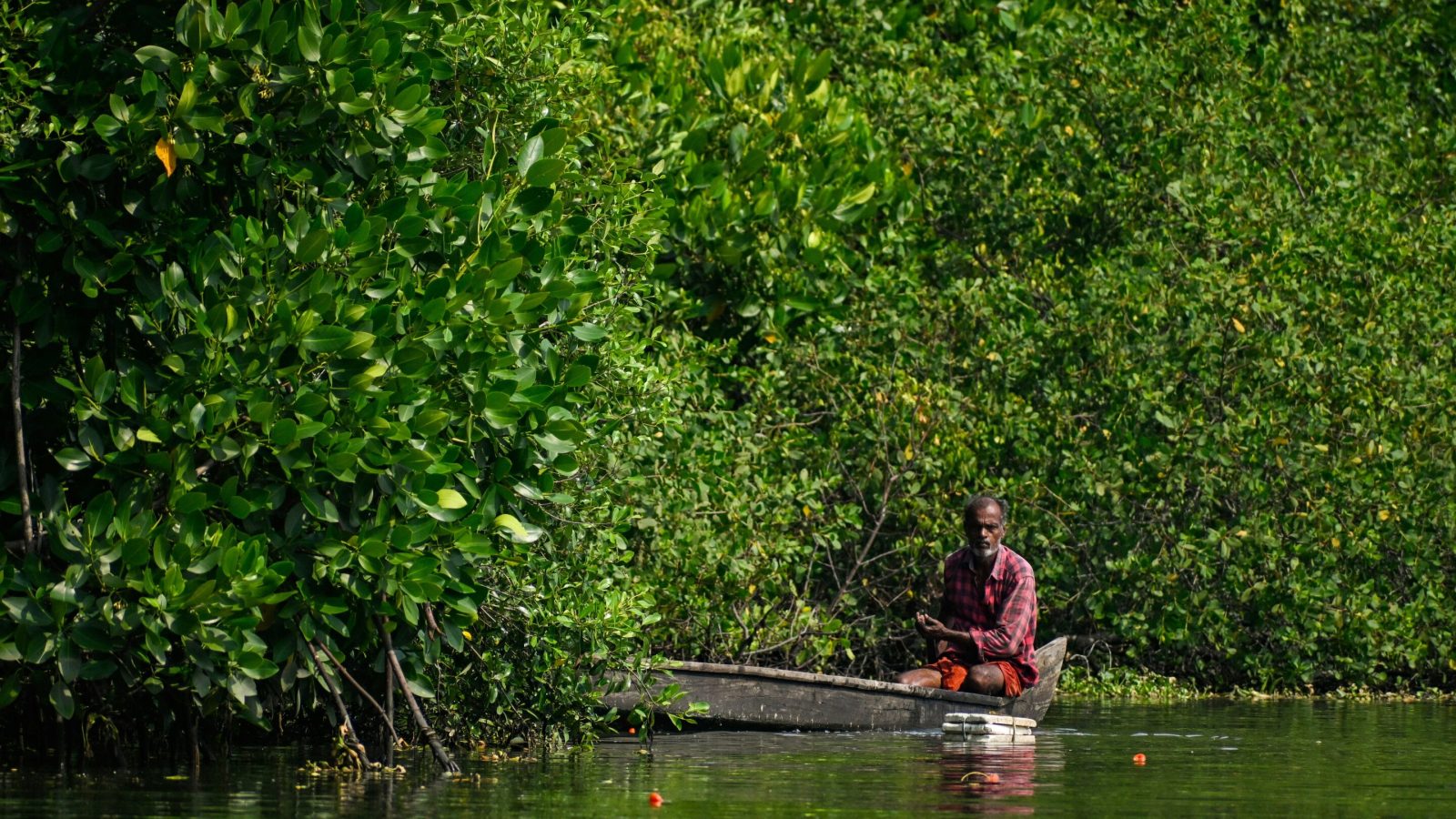 Mangrove restoration is becoming big business, but benefits don't always reach local people