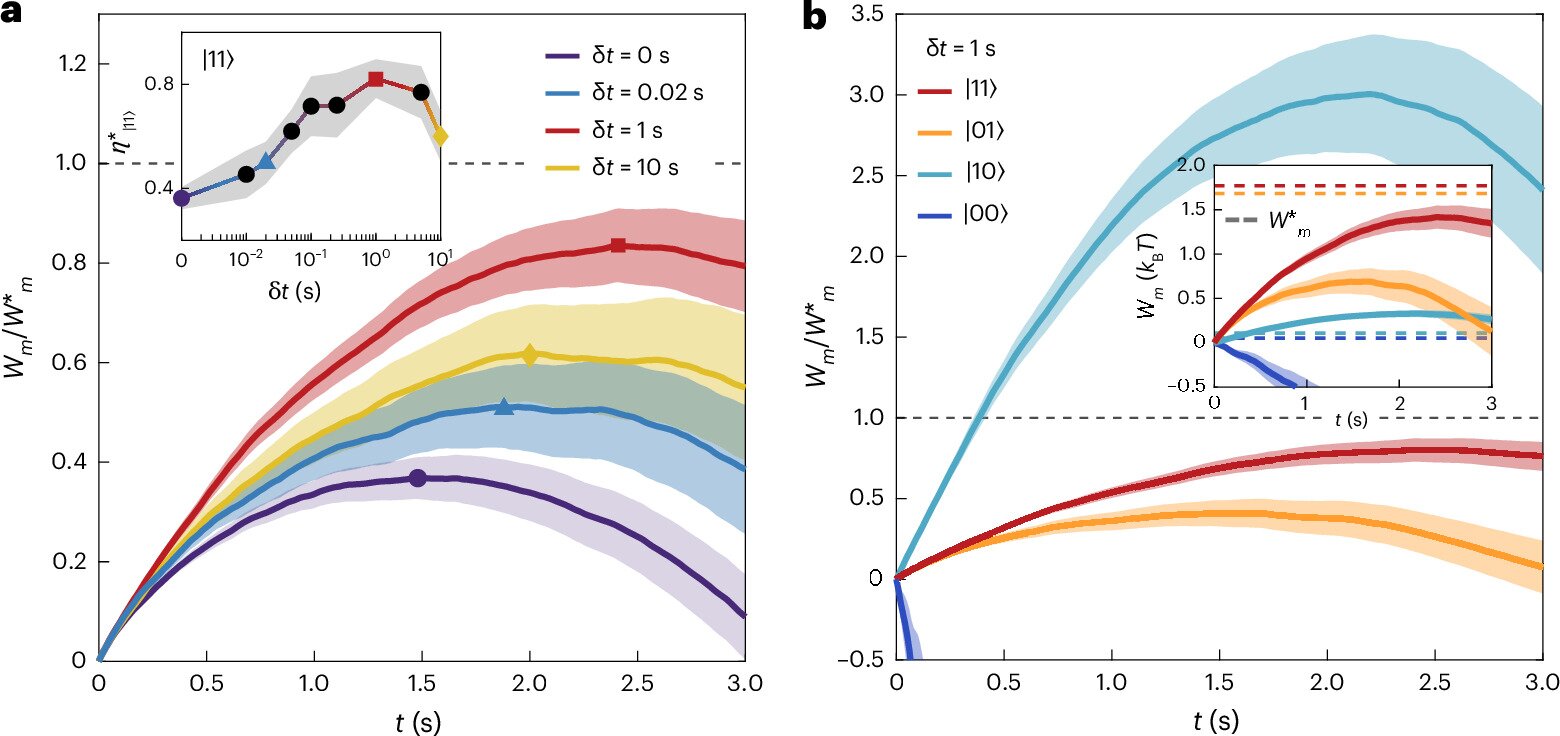 Maxwell's demon learns to turn concealed information into usable energy for microscopic systems