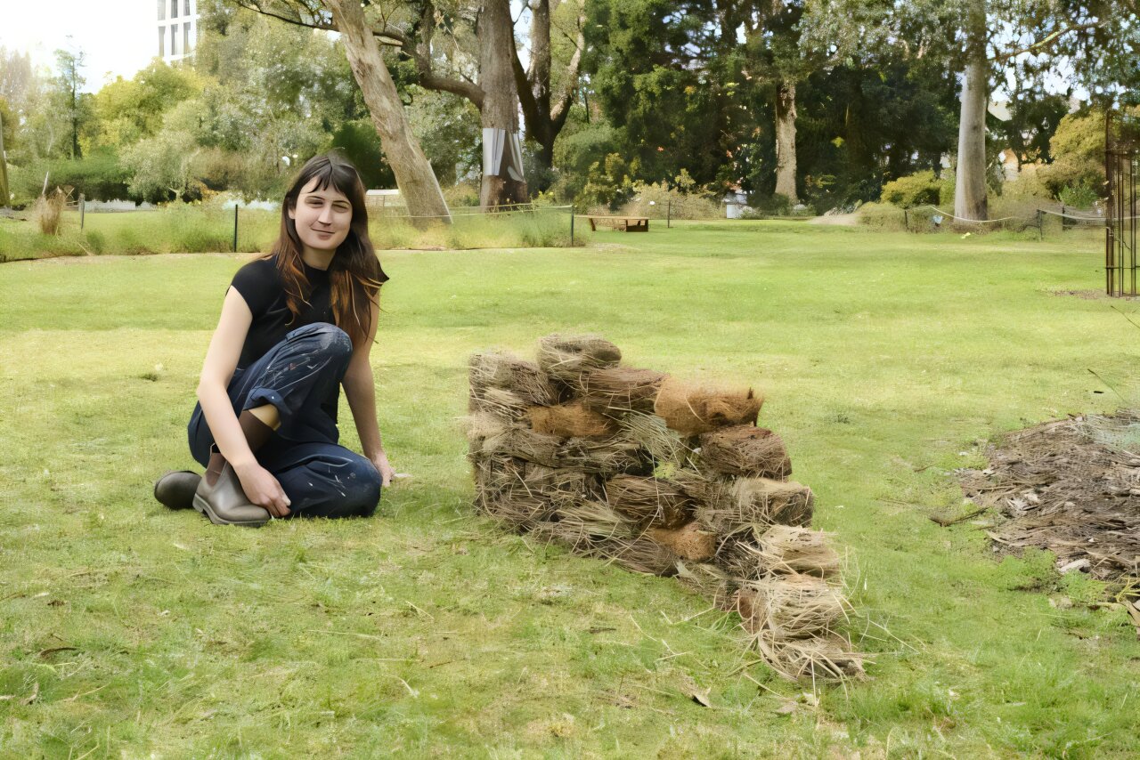 Natural-material bricks aim to give urban birds alternatives to nesting with trash