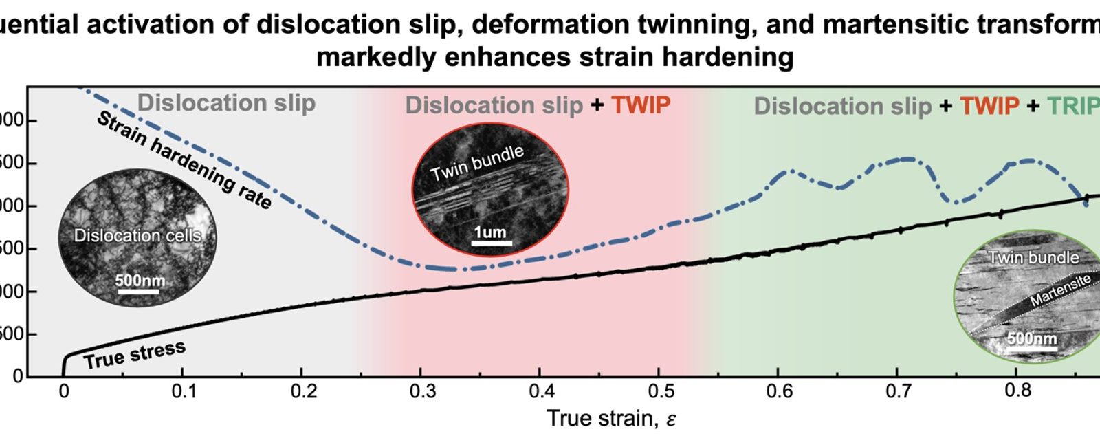 New alloy design strategy combines strength and ductility by timing hardening mechanisms