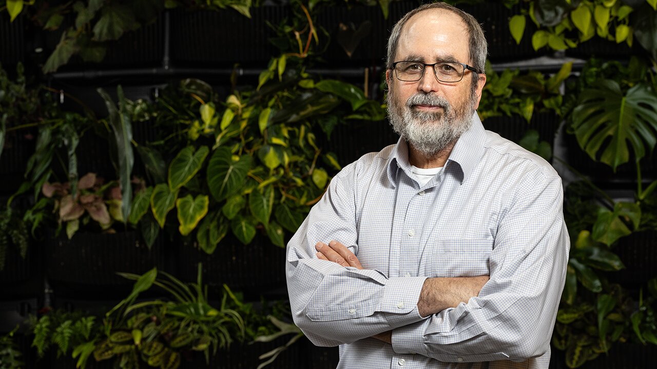New approach to plant stress studies could yield hardier crops and medical insights