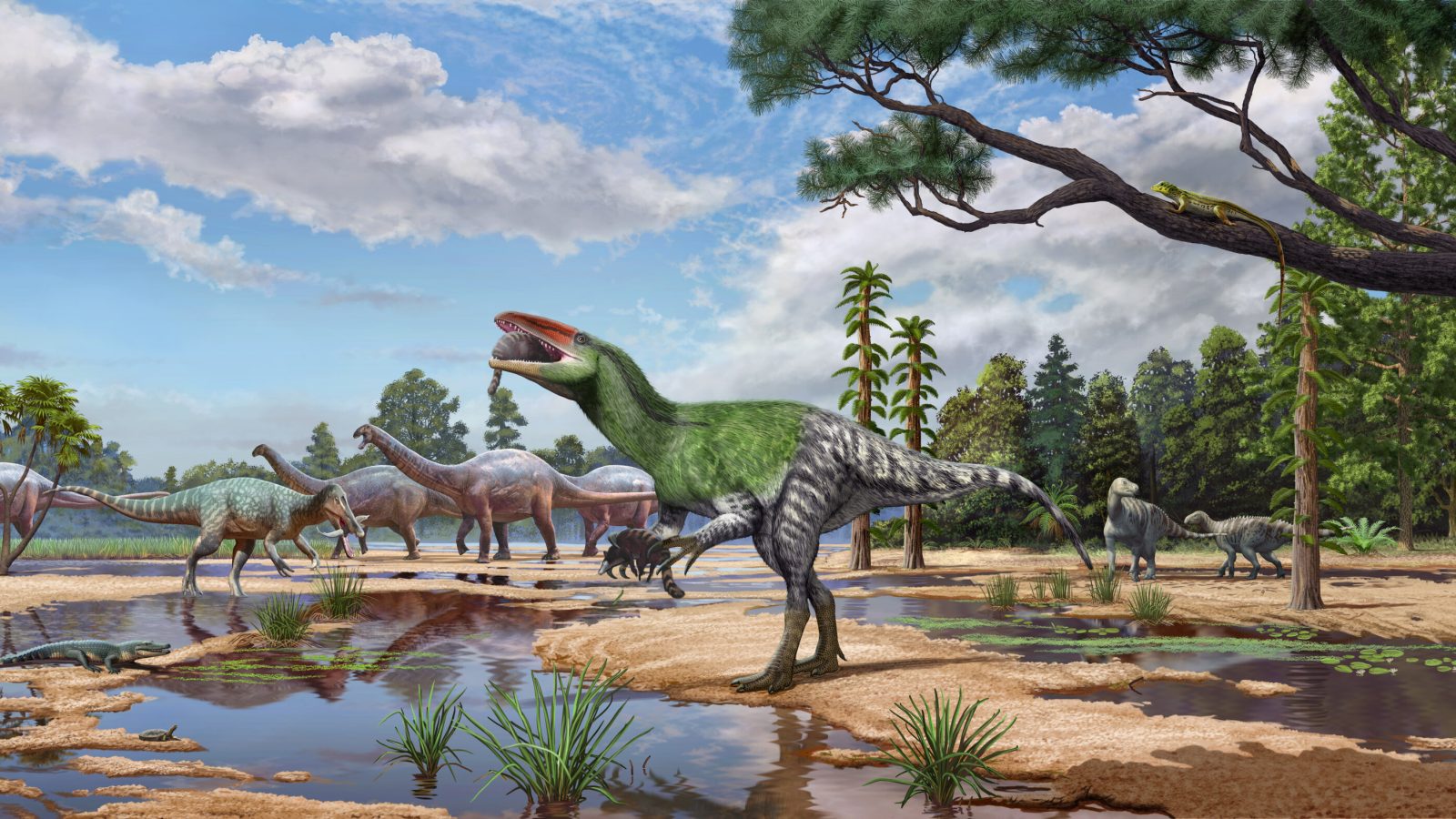 New long‑clawed British dinosaur is the first of its kind in Europe