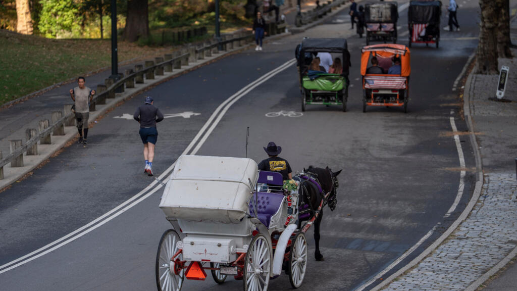 New York City votes to ban Central Park horse-drawn carriages after decades of debate