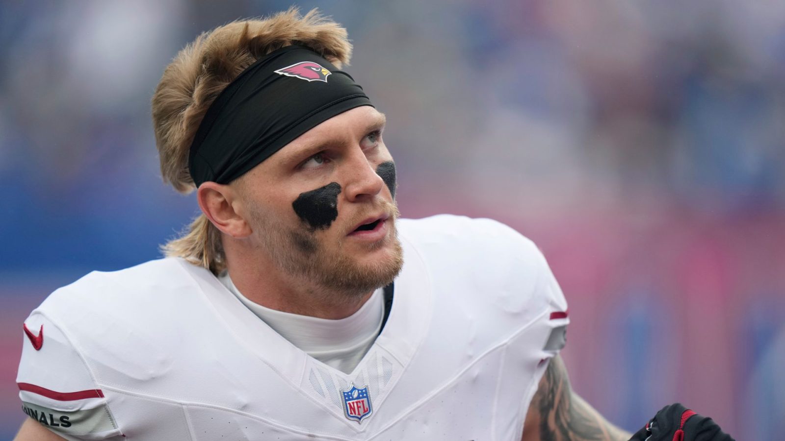 NFL suspends official for swearing at player
