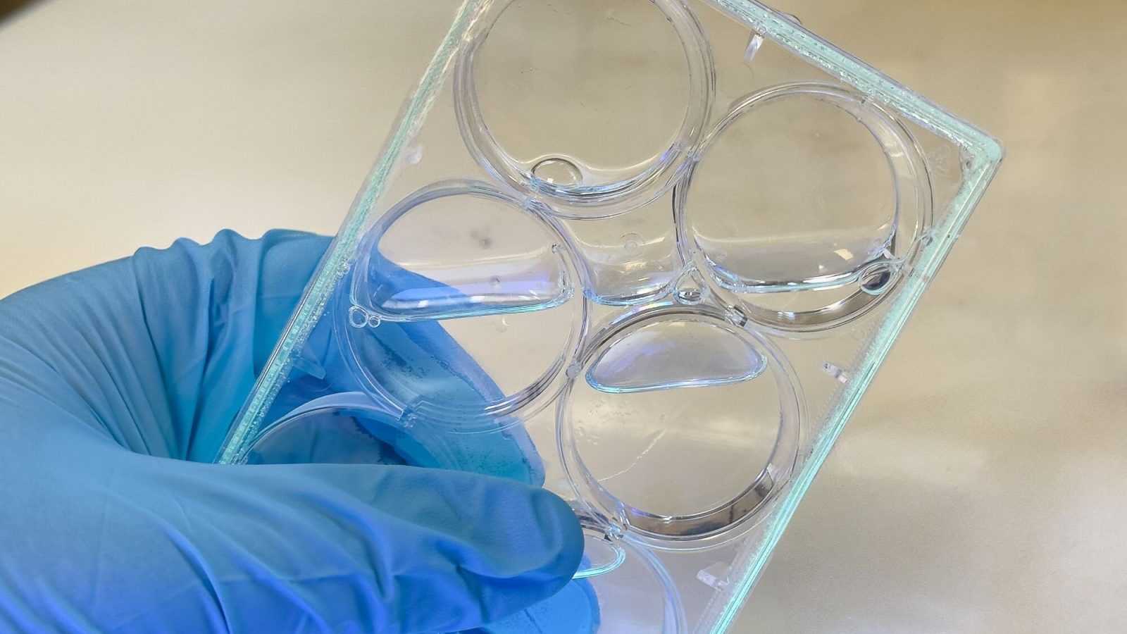 Nontoxic 'light-activated' compound shows promise for safer 3D printing of advanced biomaterials