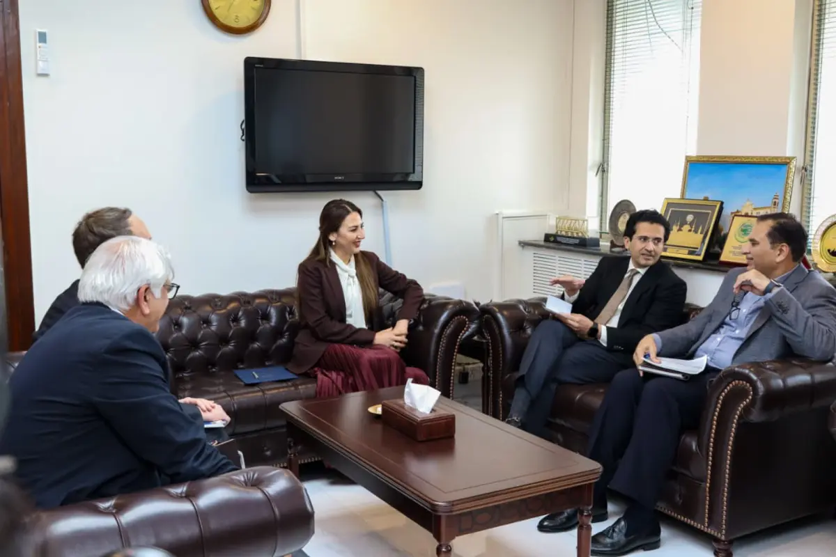 Pakistan, US discuss long-term energy supply contracts