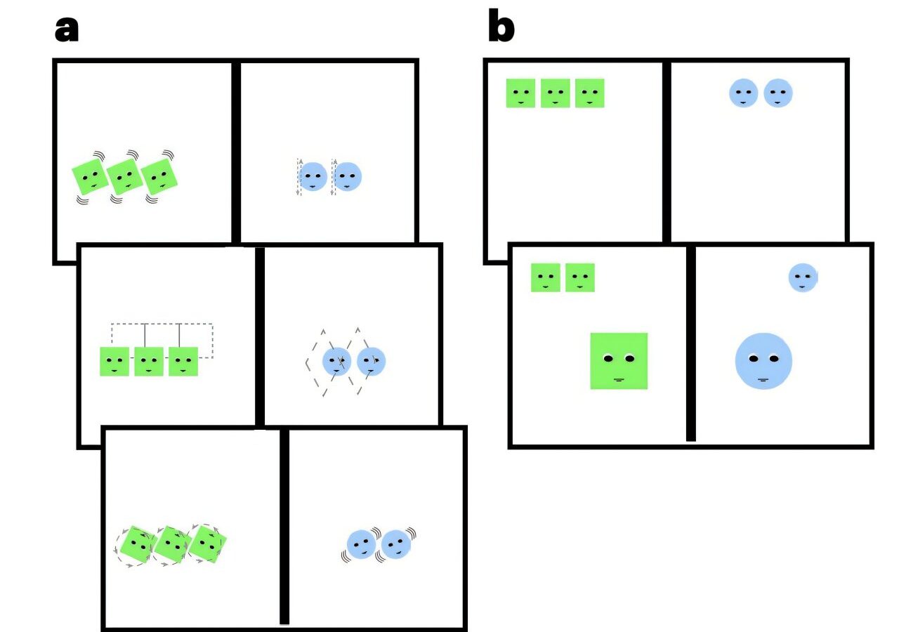 Preschool boys favor bigger groups while adults' choices hint at political attitudes