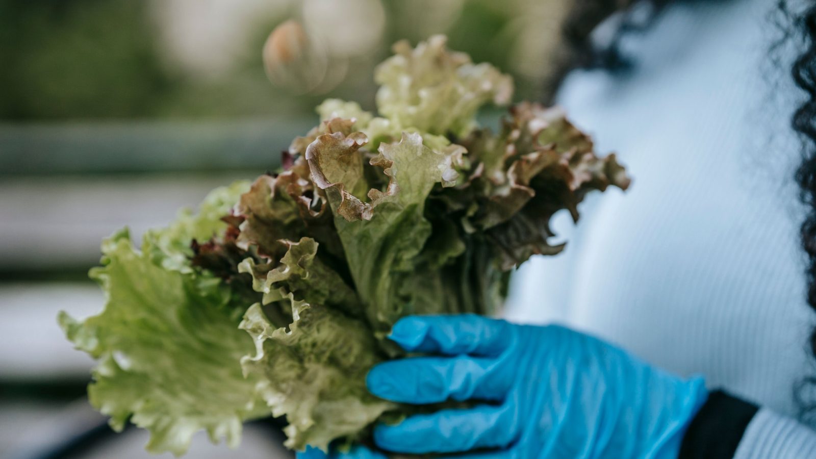 Q&A: How does technology help track foodborne pathogens and outbreaks?