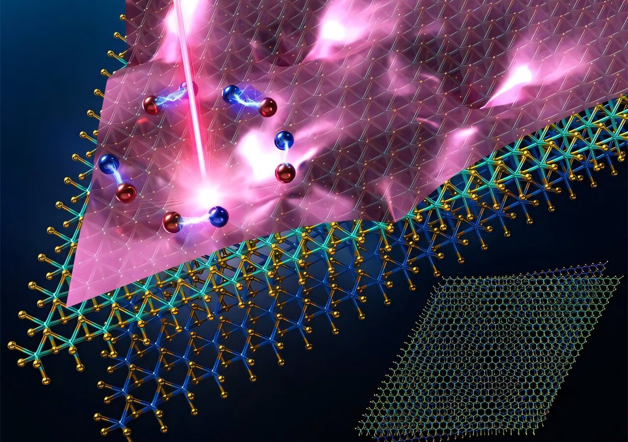 Reading beyond the peaks: Optical analysis decodes spectral complexity in twisted semiconductor layers
