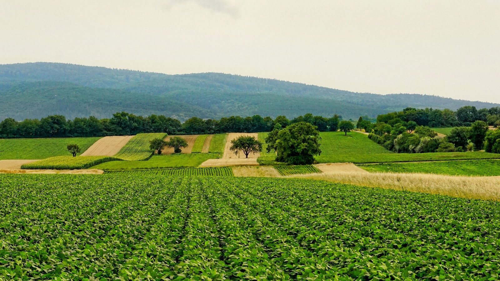 Researchers call for national consortium to battle agriculture cyber threats