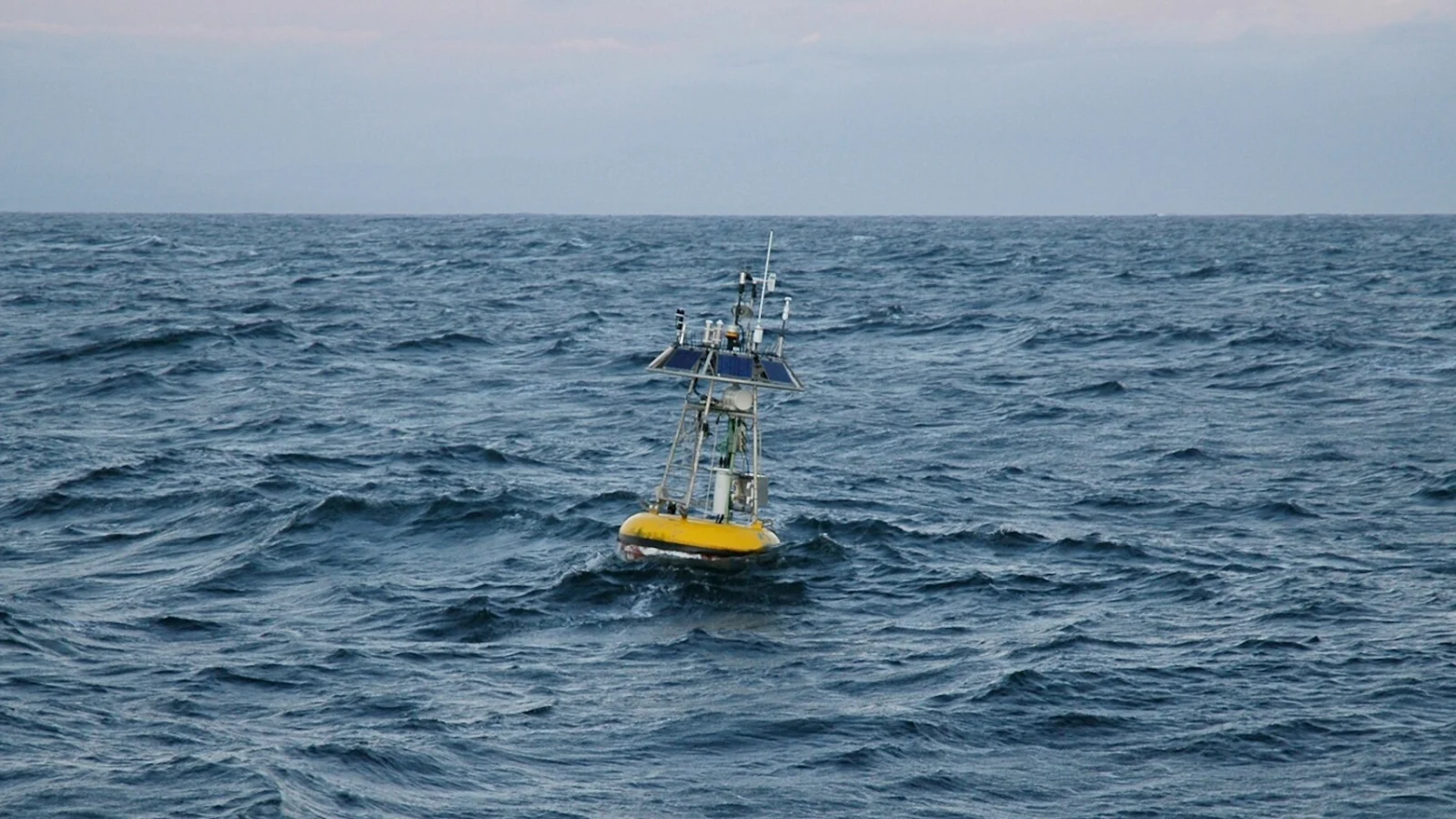 Researchers observe the arrival of El Niño in Monterey Bay