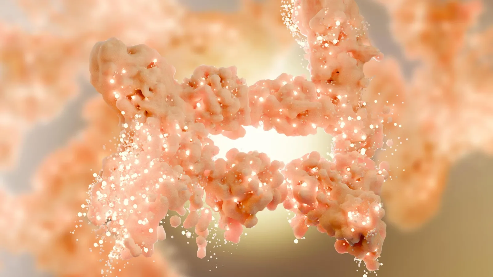 Scientists discover a hidden switch that burns fat and blocks new fat cells
