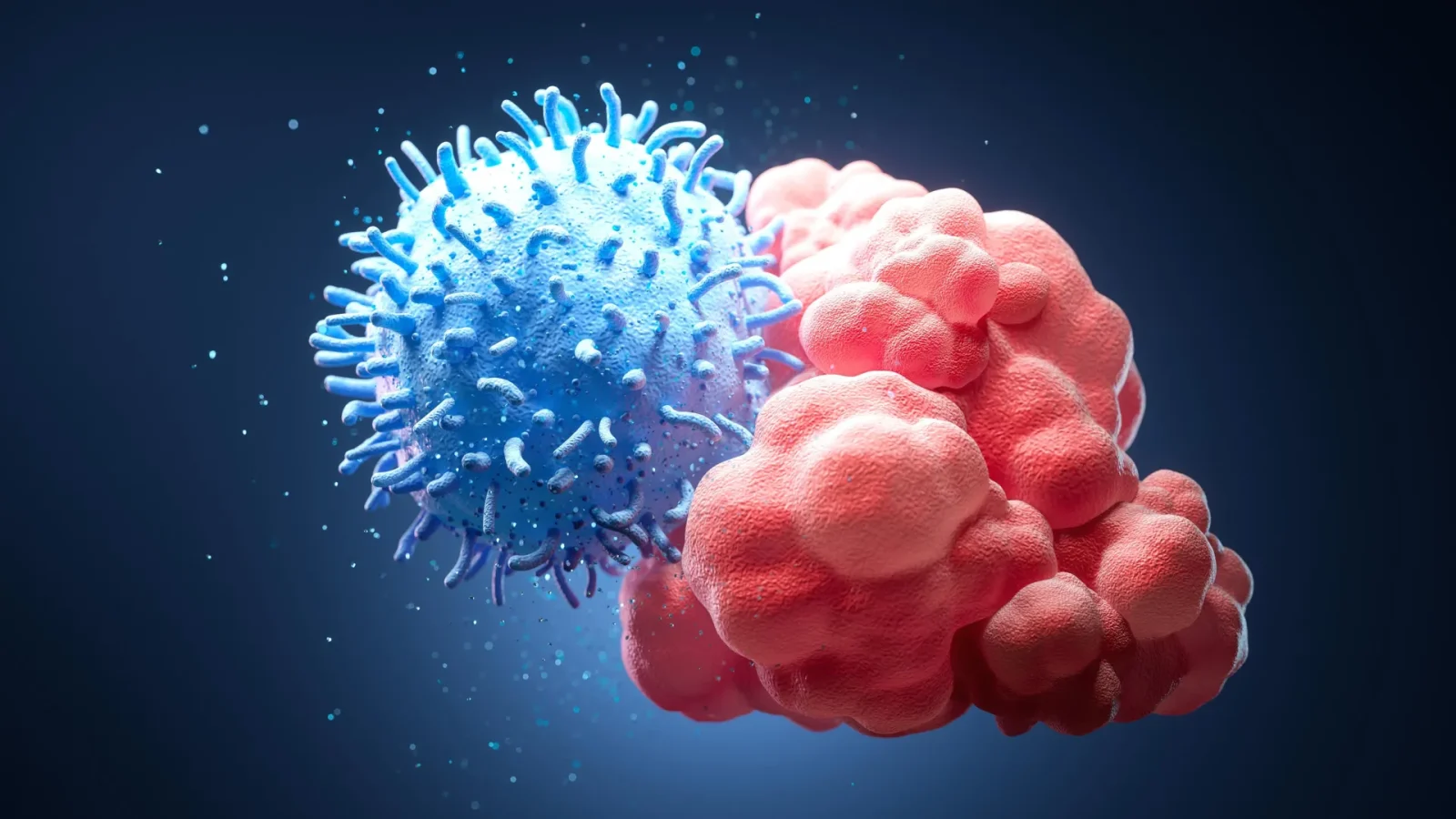 Scientists discover the immune system’s hidden sense of touch