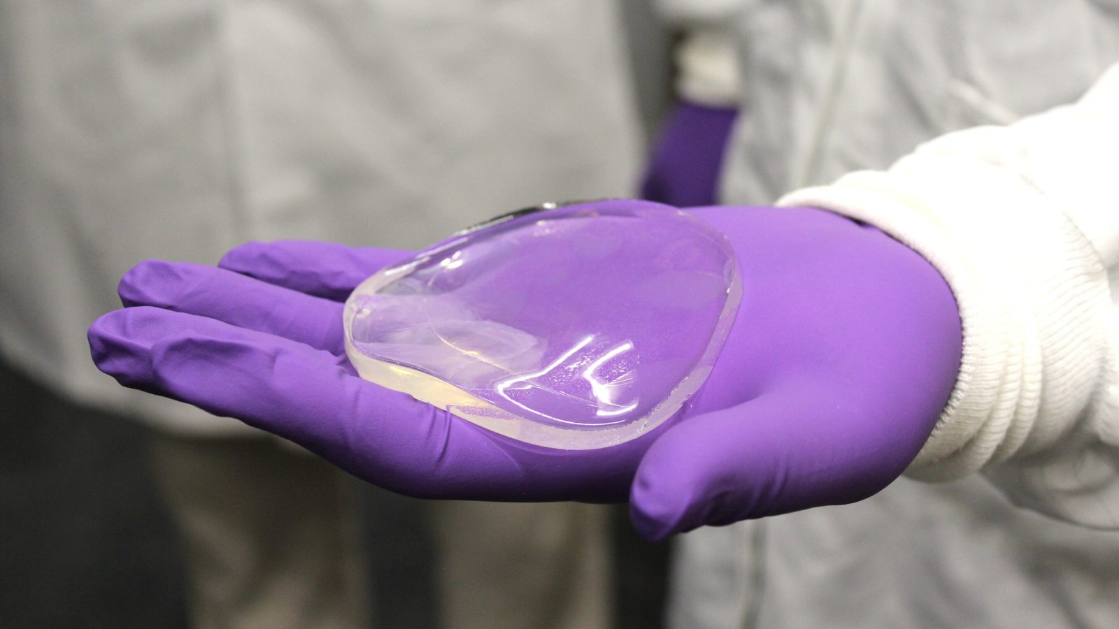 Sea cucumber–inspired gel could help heal damaged tissue in humans