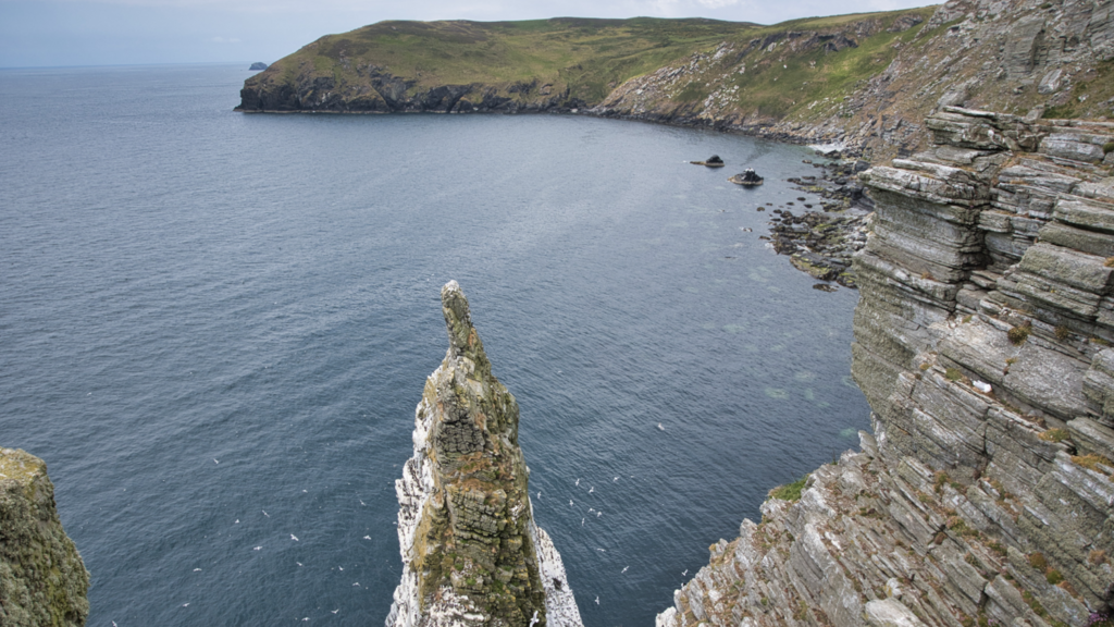 Seabirds and sewage among UNESCO status challenges